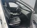 Land Rover Range Rover Evoque D165 AWD R-Dynamic SE ACC Weiß - thumbnail 3