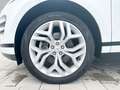 Land Rover Range Rover Evoque D165 AWD R-Dynamic SE ACC Weiß - thumbnail 9