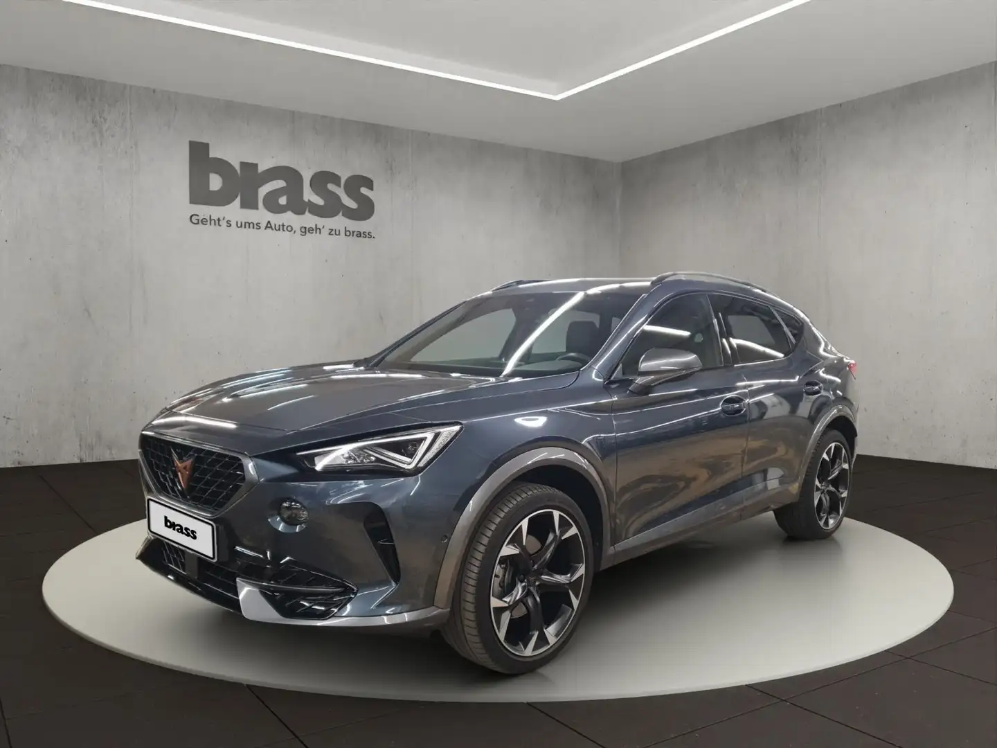 CUPRA Formentor . Grijs - 1