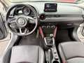 Mazda CX-3 CX-3 1.5L Skyactiv-D AWD Exceed Weiß - thumbnail 11