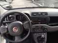 Fiat Panda Panda 1.2 Lounge 69cv E6 Blanc - thumbnail 10