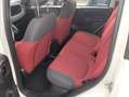 Fiat Panda Panda 1.2 Lounge 69cv E6 Blanc - thumbnail 4