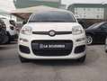 Fiat Panda Panda 1.2 Lounge 69cv E6 Blanc - thumbnail 1