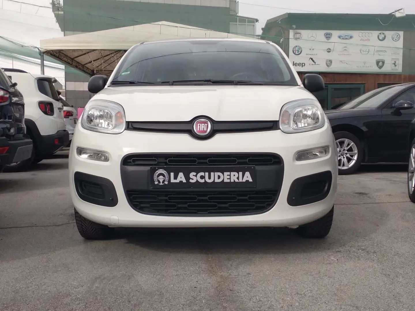 Fiat Panda Panda 1.2 Lounge 69cv E6 Blanc - 1