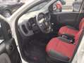 Fiat Panda Panda 1.2 Lounge 69cv E6 Blanc - thumbnail 11
