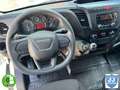Iveco Daily 2.3 TD 35S 16 A8 V 4100H2 16 M3 Blanc - thumbnail 18