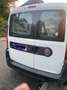 Fiat Doblo maxi cargo Weiß - thumbnail 2
