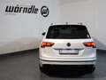 Volkswagen Tiguan Highline TDI SCR 4MOTION DSG Weiß - thumbnail 4