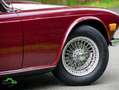 Triumph TR6 Overdrive Rouge - thumbnail 45