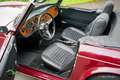 Triumph TR6 Overdrive Rouge - thumbnail 5