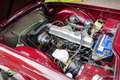 Triumph TR6 Overdrive Rouge - thumbnail 17