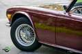 Triumph TR6 Overdrive Rouge - thumbnail 47