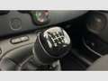 Fiat Panda Red 1.0 Gse 51kw (70CV) Blanco - thumbnail 21