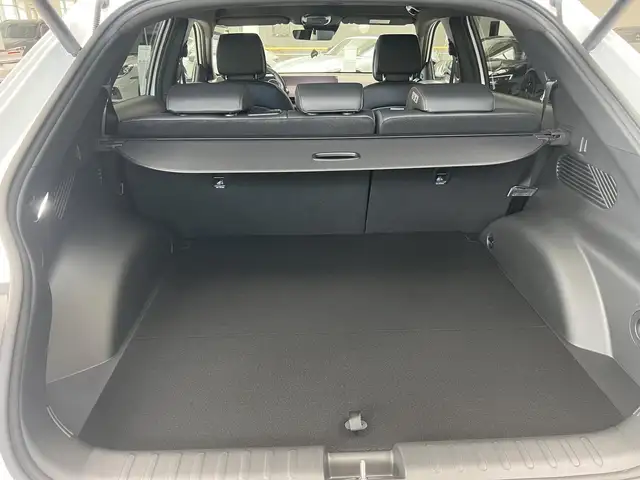 Hyundai Ioniq 5 view 11