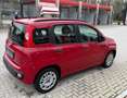 Fiat Panda Panda III 2012 1.2 easypower Lounge Gpl 69cv Rosso - thumbnail 5