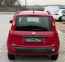 Fiat Panda Panda III 2012 1.2 easypower Lounge Gpl 69cv Rosso - thumbnail 6