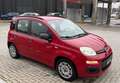 Fiat Panda Panda III 2012 1.2 easypower Lounge Gpl 69cv Rosso - thumbnail 2