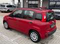 Fiat Panda Panda III 2012 1.2 easypower Lounge Gpl 69cv Rosso - thumbnail 3
