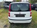 Fiat Panda Panda 1.3 MJT 16V DPF Dynamic Blanc - thumbnail 6