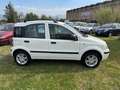 Fiat Panda Panda 1.3 MJT 16V DPF Dynamic Blanc - thumbnail 4