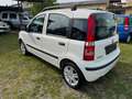 Fiat Panda Panda 1.3 MJT 16V DPF Dynamic Blanc - thumbnail 7
