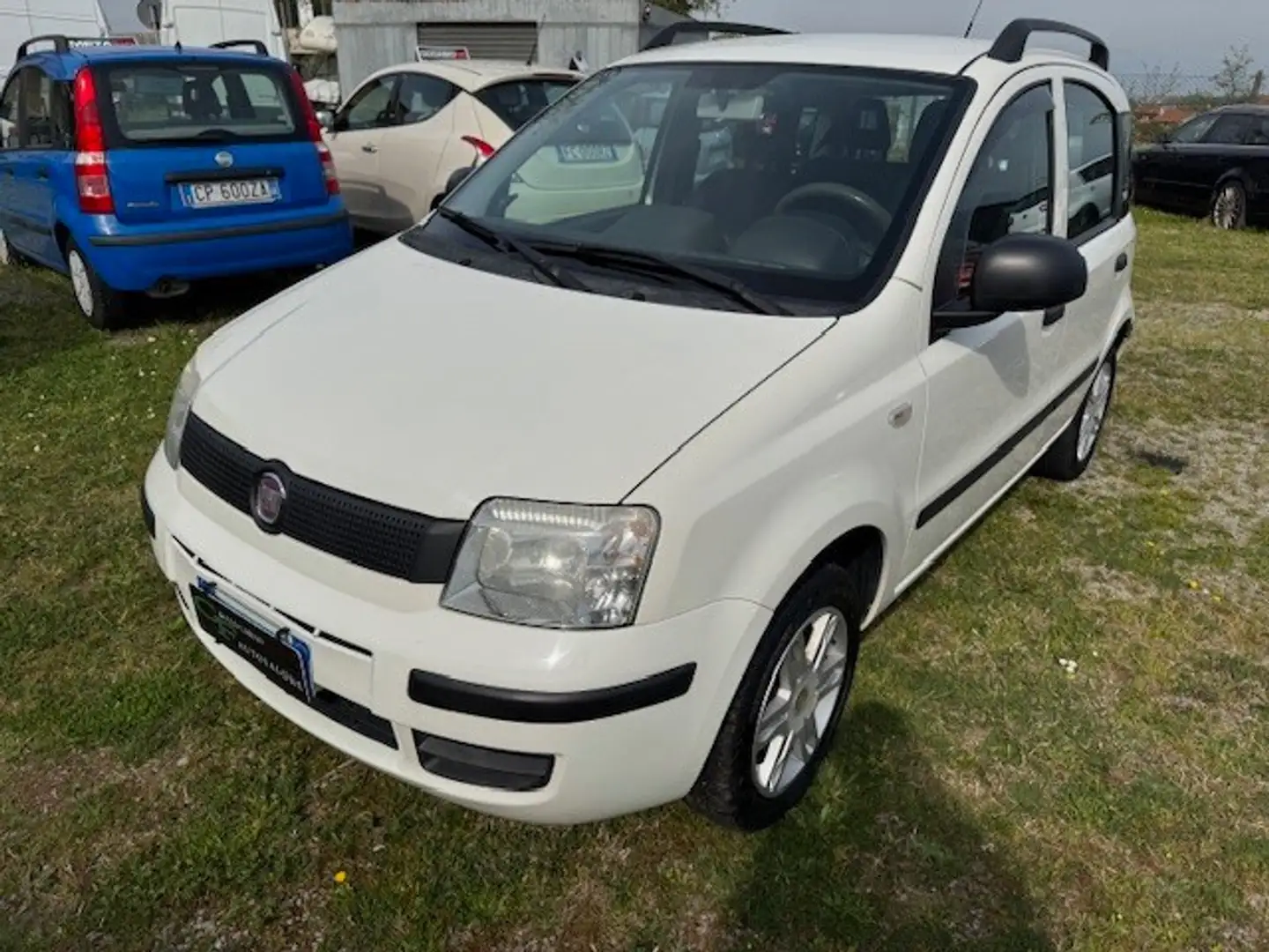Fiat Panda Panda 1.3 MJT 16V DPF Dynamic Blanc - 1