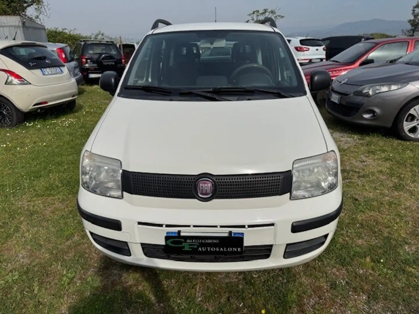 Fiat Panda Panda 1.3 MJT 16V DPF Dynamic Blanc - 2