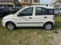 Fiat Panda Panda 1.3 MJT 16V DPF Dynamic Blanc - thumbnail 8