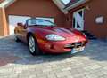 Jaguar XK8 XK8 Cabriolet Rot - thumbnail 6