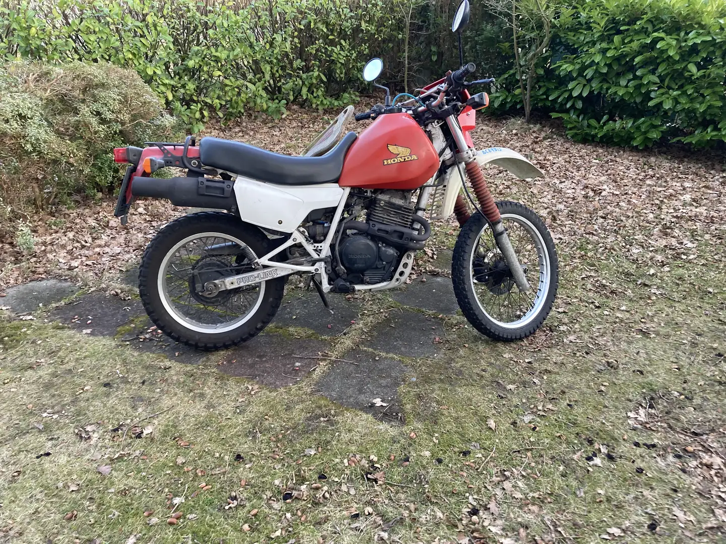 Honda XL 600 - 1