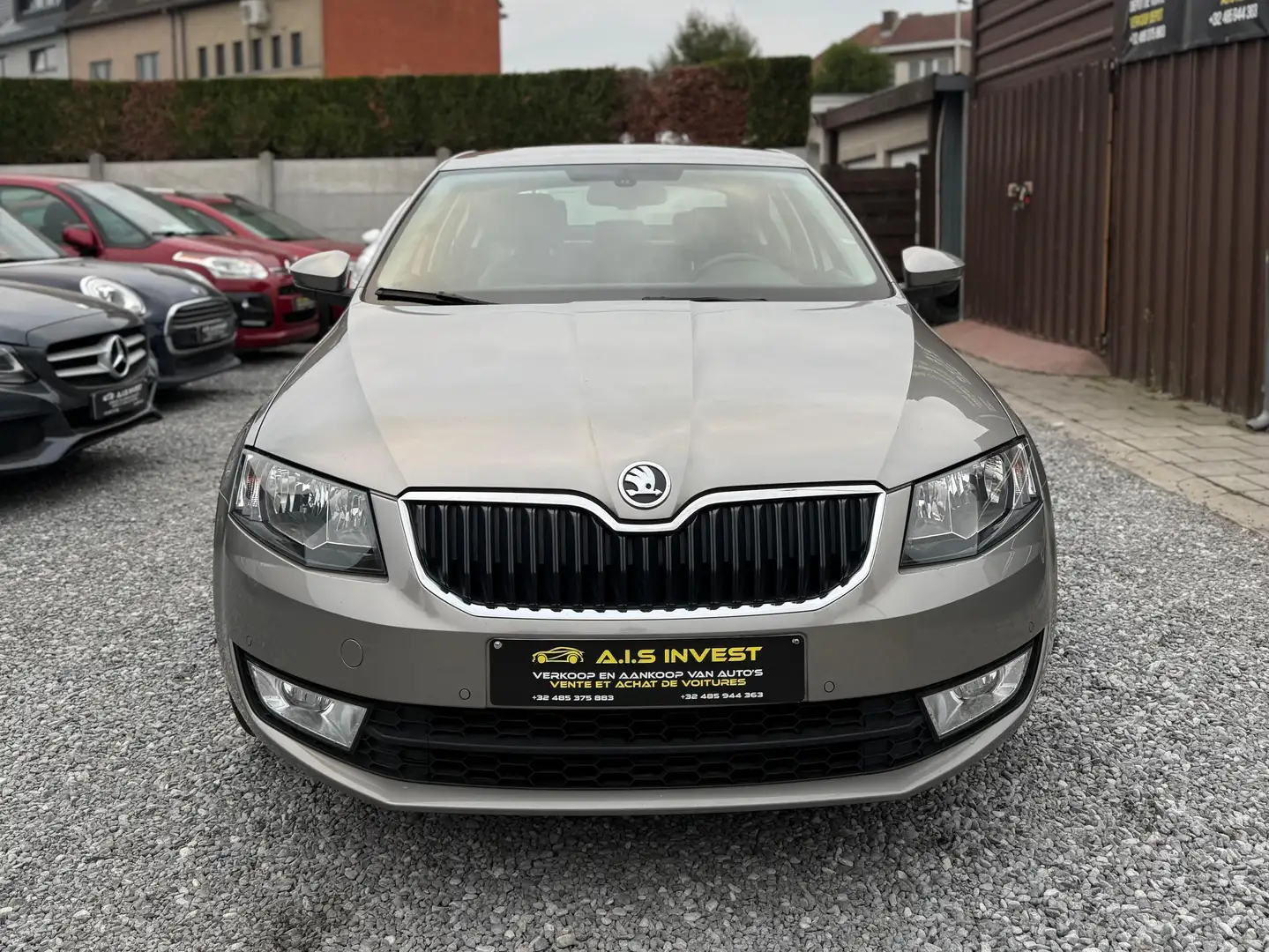 Skoda Octavia Octavia 1.4 TSI Elegance Bronze - 1