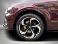Bentley Bentayga V8 S Standheizung 1.Hand Service NEU Rot - thumbnail 17