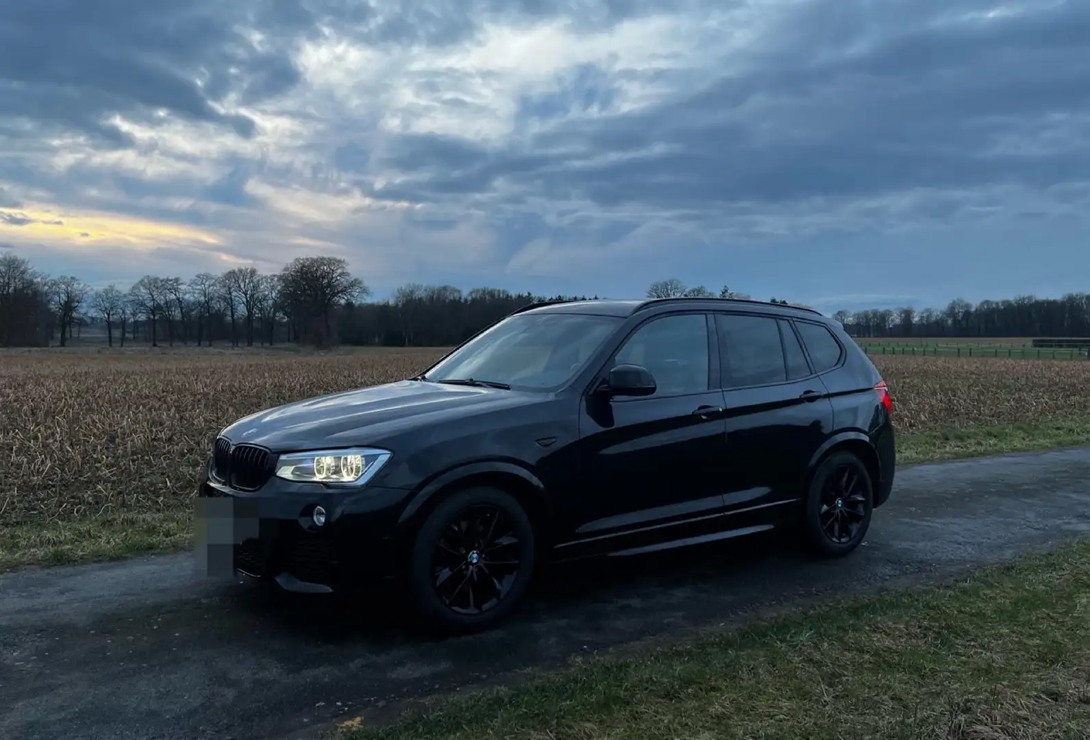 BMW X3 xDrive 30D F25 M-Packet Ahk Schwarz - 1