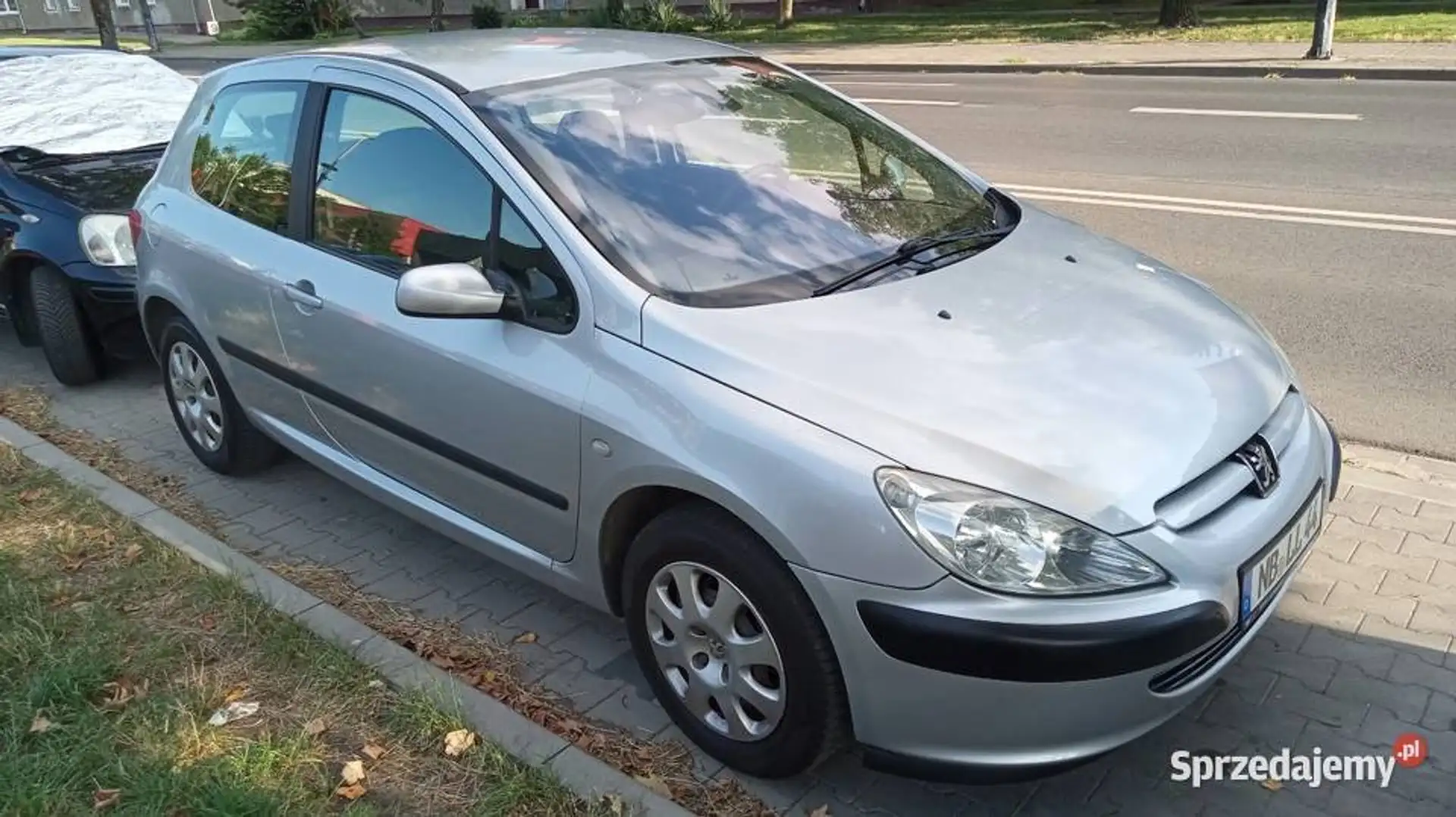Peugeot 307 307 110 Sport srebrna - 2