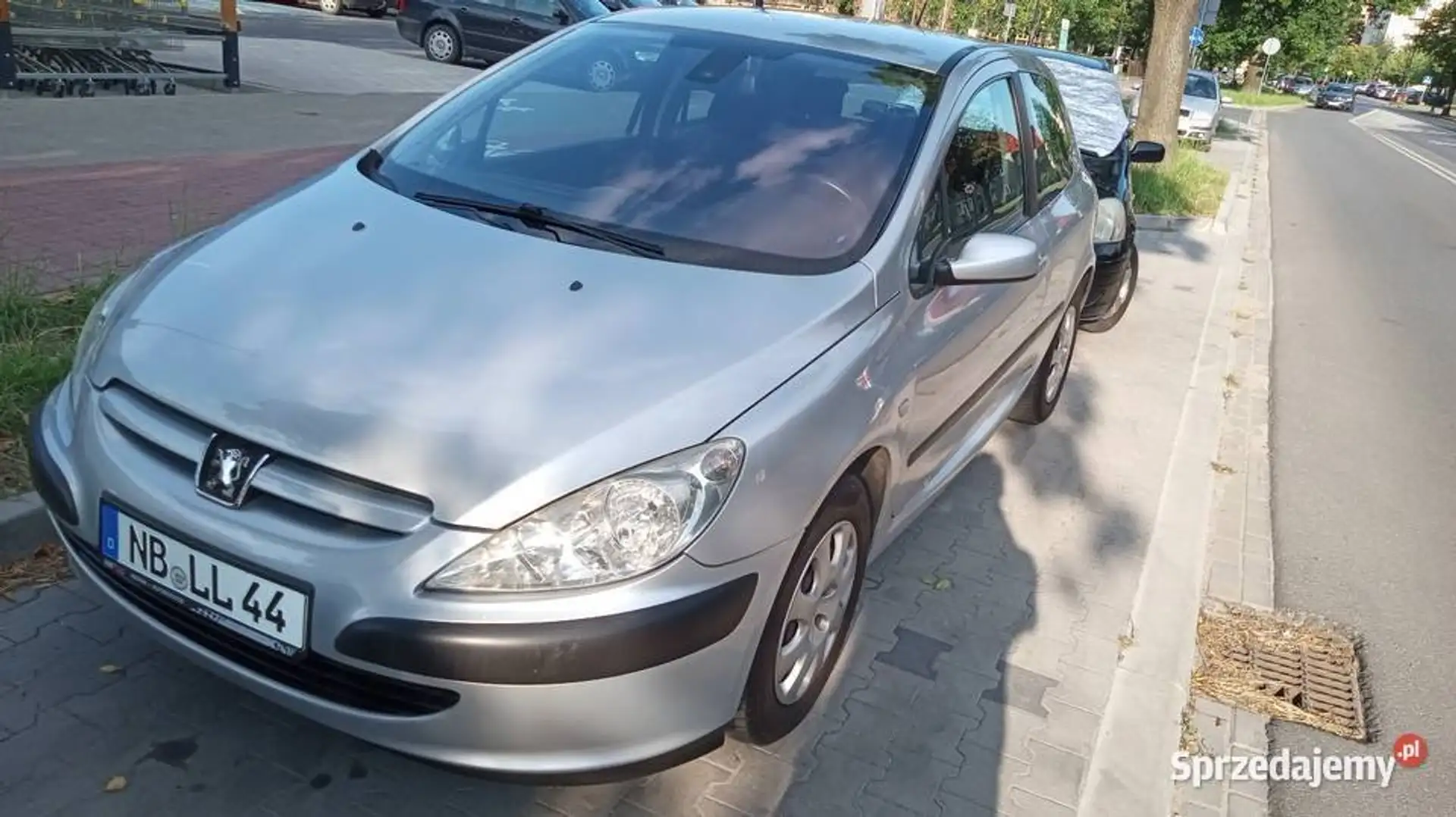 Peugeot 307 307 110 Sport srebrna - 1