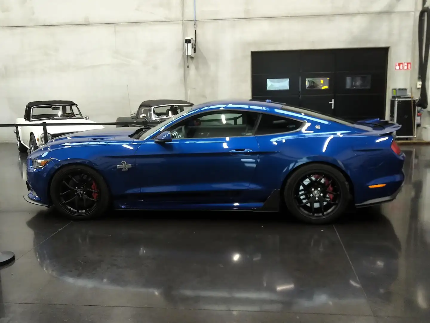 Shelby Mustang Super Snake 50th Anniversary Azul - 2