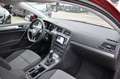 Volkswagen Golf VII 1.2 TSI DSG Trendline BMT NAVI-1.HAND-SHZ-PDC Rosso - thumbnail 15