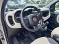 Fiat Panda Panda III 2012 1.2 Easy 69cv E6 "OK NEOPATENTATII" Beige - thumbnail 5