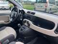 Fiat Panda Panda III 2012 1.2 Easy 69cv E6 "OK NEOPATENTATII" Beige - thumbnail 8