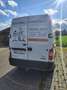 Renault Master 2.5 dCi 146  L2H2 Weiß - thumbnail 5