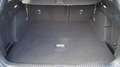 Ford Focus Traveller 1.0 EcoBoost,ST-Line Business,UNFALLFREI Schwarz - thumbnail 26