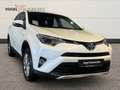 Toyota RAV 4 RAV4 2.5 Edition Hybrid Kam.+LED+Navi+PDC Weiß - thumbnail 12