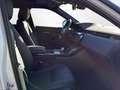 Land Rover Range Rover Evoque Hybrid P270e AWD AT S Weiß - thumbnail 14