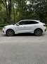 Audi Q3 35 TFSI S line Weiß - thumbnail 3