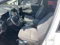 Ford C-Max C-MAX Titanium 1,0 EcoBoost S/S Weiß - thumbnail 16
