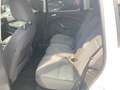 Ford C-Max C-MAX Titanium 1,0 EcoBoost S/S Weiß - thumbnail 13
