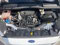 Ford C-Max C-MAX Titanium 1,0 EcoBoost S/S Weiß - thumbnail 7