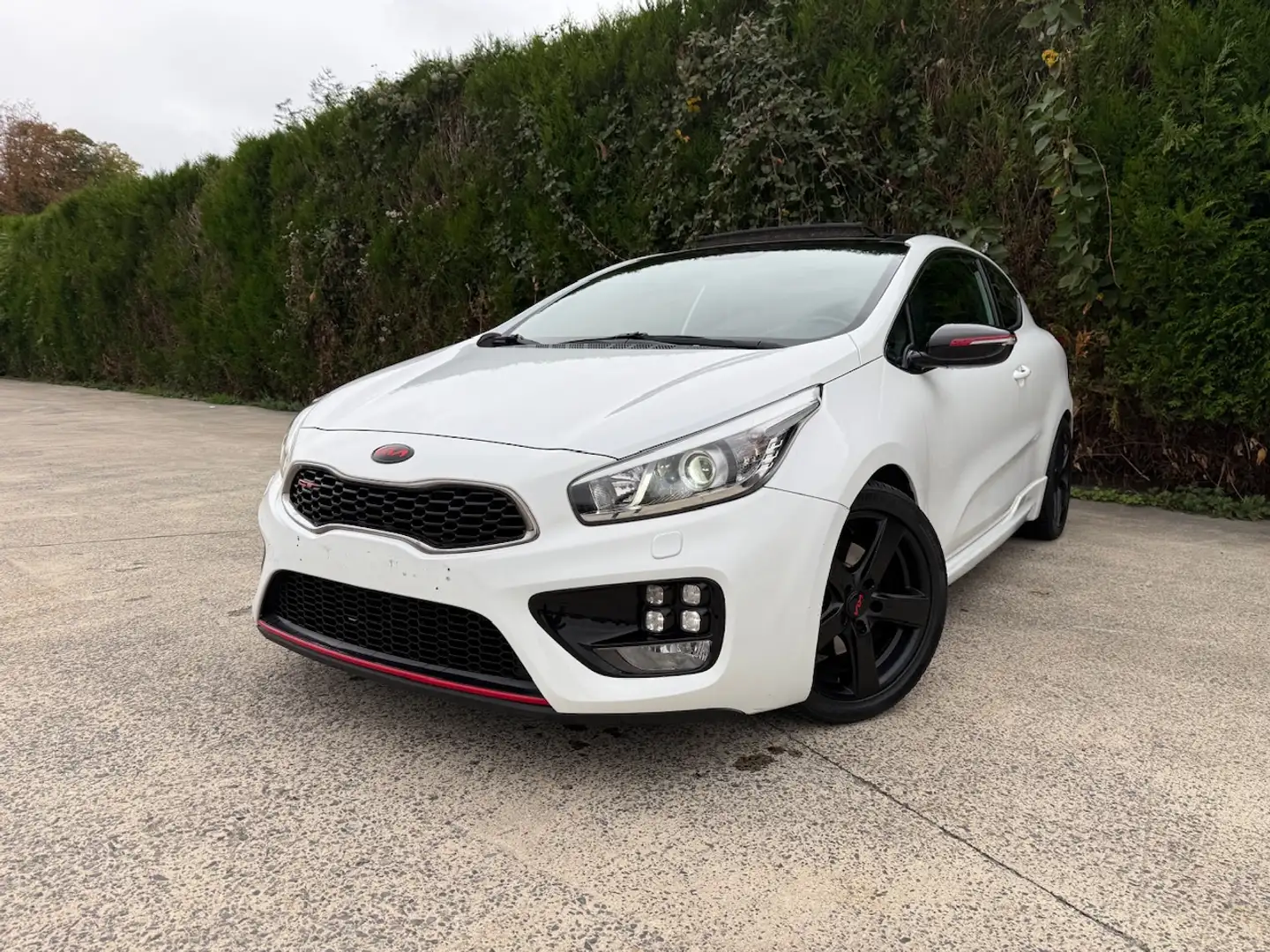 Kia Ceed / cee'd Cee'd GT 1.6 T-GDi GT FULLS OPTIONS**GT*204CH** Blanc - 1