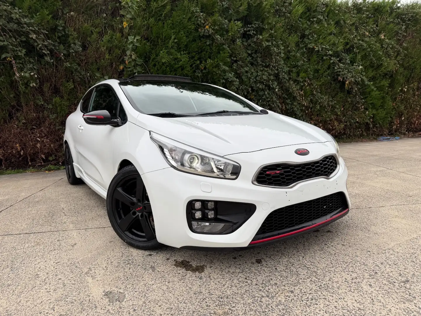 Kia Ceed / cee'd Cee'd GT 1.6 T-GDi GT FULLS OPTIONS**GT*204CH** Blanc - 2