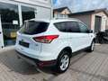 Ford Kuga Sync Edition Weiß - thumbnail 4